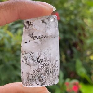 Dendritic Quartz Cabochon
